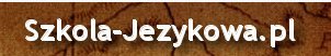 Tłumacz norweskiego