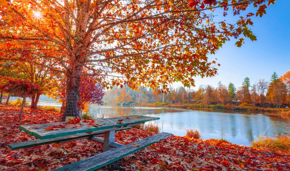 Alergie, przeziębienia, grypa: jak najlepiej przygotować się na jesienny sezon chorobowy?